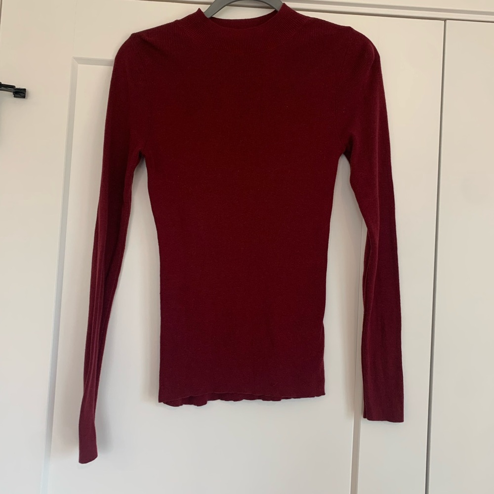 Express Fitted High Neck Sweater